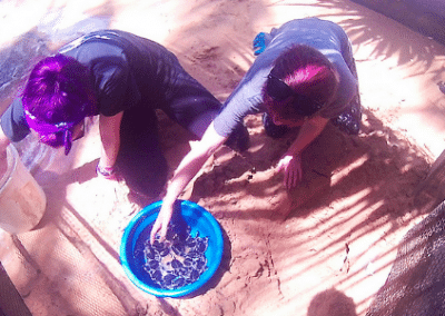 Volunteers and baby turtles Turtle Conservation in Sri Lanka