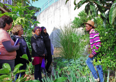 Volunteers and locals Tree Planting and Environmental Education Summer Initiative in Zambia