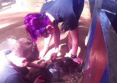 Volunteers at work Turtle Conservation in Sri Lanka