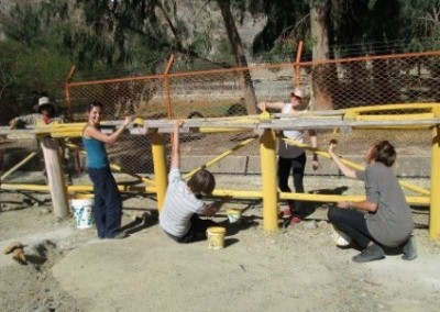 Volunteers painting fences construction and animal welfare Bolivia