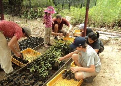 Volunteers planting environmental conservation and community empowerment in Borneo
