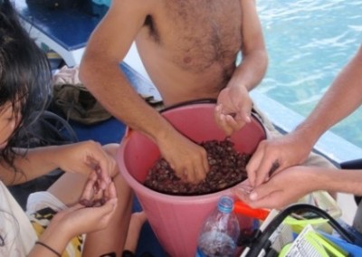 Volunteers working on boat Island Marine Conservation with Diving Certification in Thailand