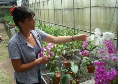 Woman potting plants family community beautification Costa Rica