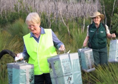 Working with park rangers environmental conservation in Australia