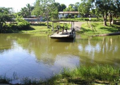 jungle river in belize