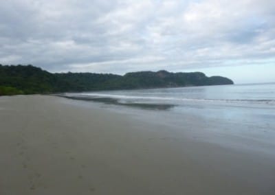 Beach sea turtle conservation Costa Rica