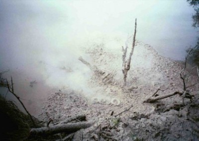 Bubbling mud Environmental Conservation North Island in New Zealand