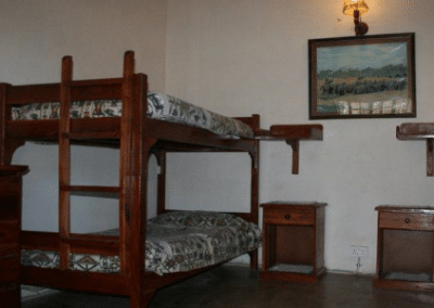 Bunkbeds Antelope Park Lion Breeding and Rehabilitation in Zimbabwe