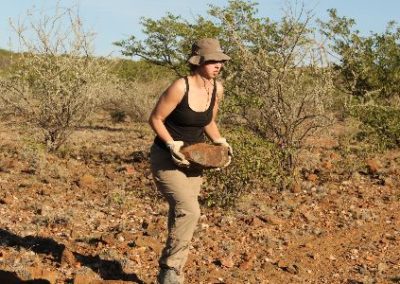 Carrying rock Elephant and Water Access project Namibia