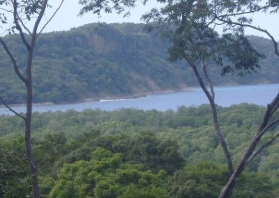 Coast and junge sea turtle conservation Costa Rica