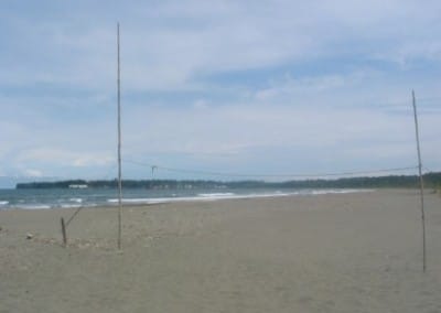 Coast sea turtle conservation Costa Rica