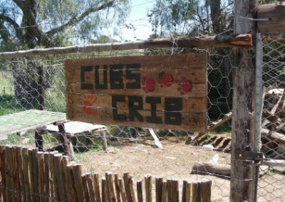 Cubs crib veterinarian internship South Africa