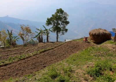 Farming field Empower Women on Sustainable Agriculture Initiative in Nepal