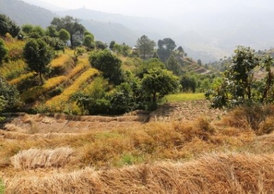 Farming levels Family Volunteering Women and Child Empowerment in Nepal