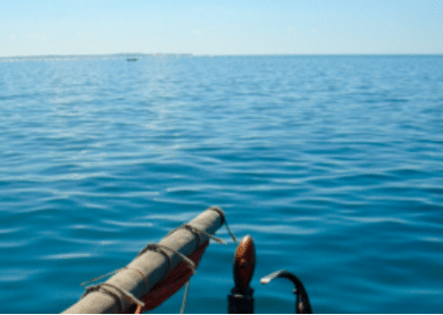 Front of boat Marine Whale Shark and Manta Ray Conservation including Padi Diving in Mozambique