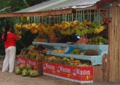 Fruit stall Improve Nutritional Standards in the Philippines