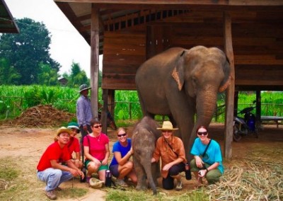 Group with elephants Elephant Welfare in Eastern Mahout Communities in Thailand