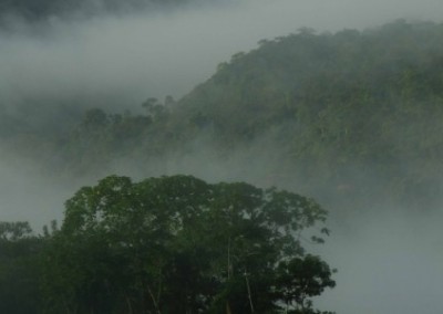 Misty scenery environmental conservation Peru