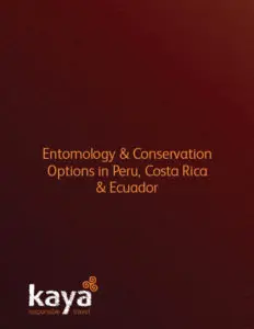 Entomology & Conservation Options in Peru, Costa Rica & Ecuador Itinerary