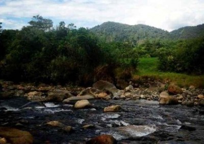 River fair trade internship in amazon Ecuador