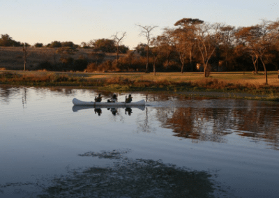 Rowing Antelope Park Lion Breeding and Rehabilitation in Zimbabwe