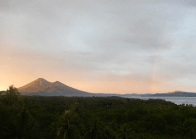 Sea view Orangutan Sun Bear and Wildlife Rescue in Indonesia