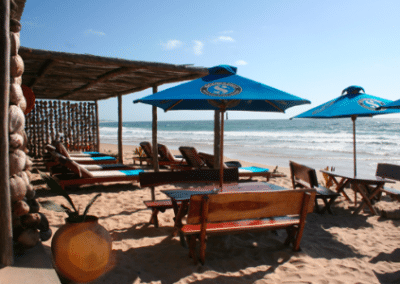 The beach Marine Whale Shark and Manta Ray Conservation including Padi Diving in Mozambique