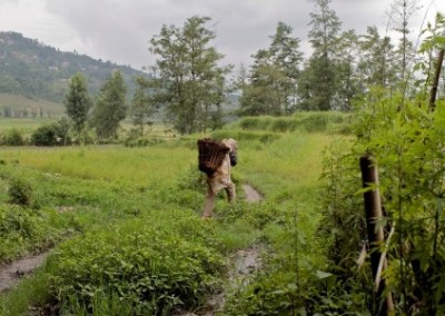Village work Empower Women on Sustainable Agriculture Initiative in Nepal