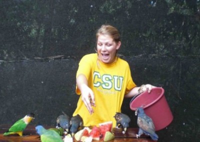 Volunteer feeding birds wildlife rescue Ecuador