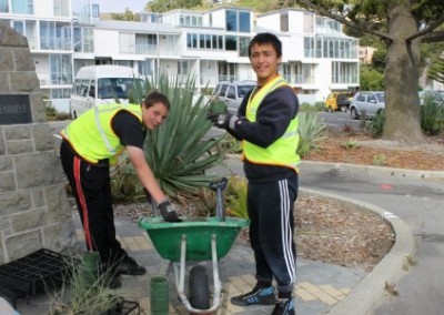 Volunteers Auckland Environmental Conservation North Island in New Zealand