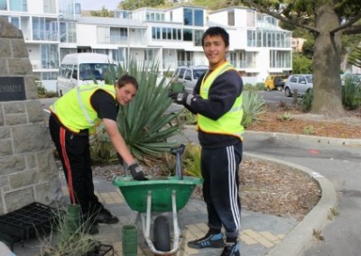 Volunteers Auckland Environmental Conservation North Island in New Zealand