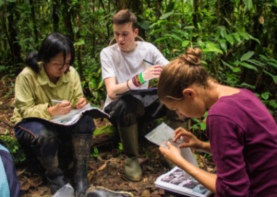 Volunteers making notes environmental conservation Peru