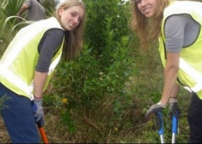 Volunteers weeding Environmental Conservation North Island in New Zealand