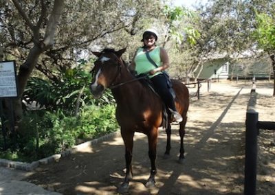 Weekend activities include horse riding in Livingstone