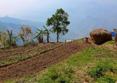 Farming field levels Nepal