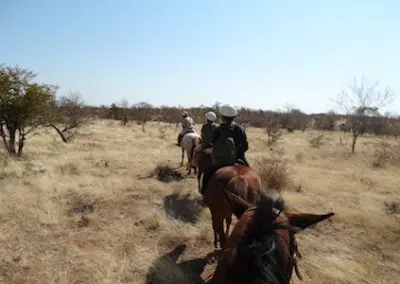 Elephant Research and Conservation Volunteering in Zambia horse riding excursion