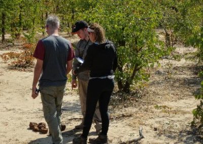 Volunteers recording data Elephant Research and Conservation Zambia