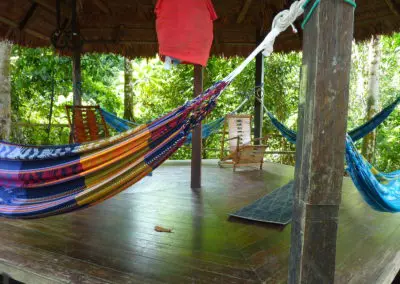 Environmental Conservation Internship in Peru internship group hammocks