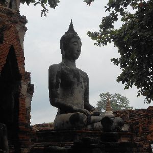 Maria’s Thailand Experience