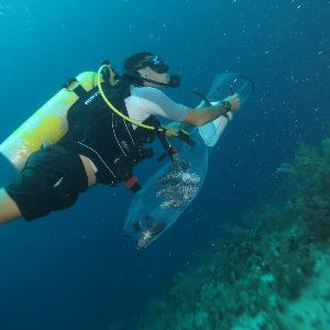 Max’s Belize Experience