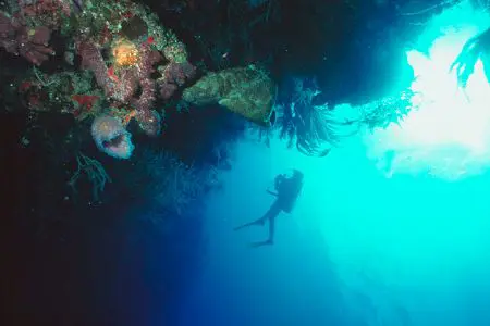 diver-in-the-distance