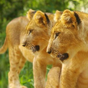 Sarah N.’s Zimbabwe Experience
