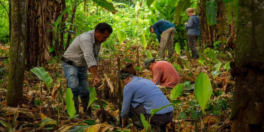 What’s so important about volunteering on an environmental conservation project?