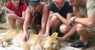 gain experience on a gap year gain experience on a gap year