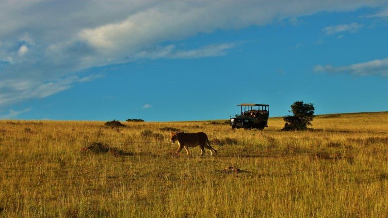 The Magic of Spring in South Africa