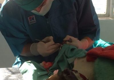 Vet interns observing in South Africa Wild Coast