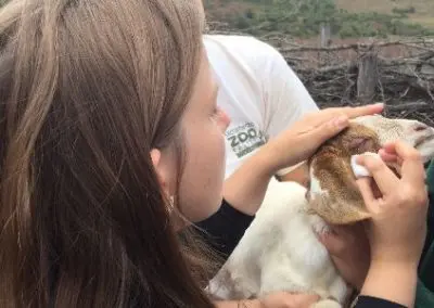 Vet interns at work South Africa Wild Coast