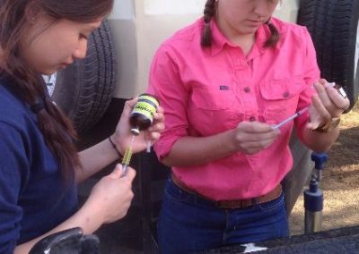 Vet interns preparing meds South Africa Wild Coast