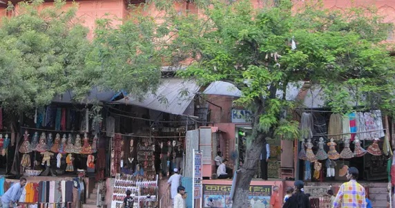 Martina’s Journey Through India (Part 1)