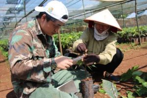 Volunteer in action Agriculture Internship Vietnam International Education Week